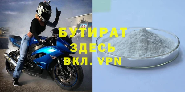 ГАЛЛЮЦИНОГЕННЫЕ ГРИБЫ Тайга