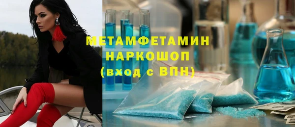 ГАЛЛЮЦИНОГЕННЫЕ ГРИБЫ Тайга