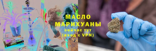 ГАЛЛЮЦИНОГЕННЫЕ ГРИБЫ Тайга
