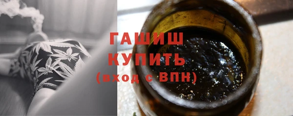 ГАЛЛЮЦИНОГЕННЫЕ ГРИБЫ Тайга