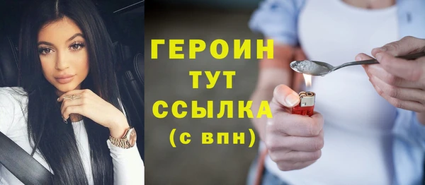ГАЛЛЮЦИНОГЕННЫЕ ГРИБЫ Тайга