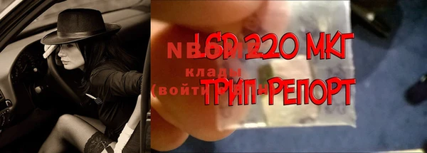 ГАЛЛЮЦИНОГЕННЫЕ ГРИБЫ Тайга