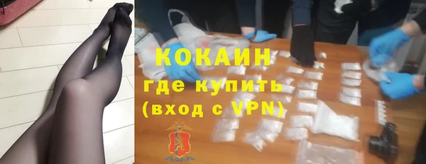 ГАЛЛЮЦИНОГЕННЫЕ ГРИБЫ Тайга