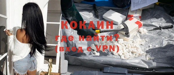 ГАЛЛЮЦИНОГЕННЫЕ ГРИБЫ Тайга