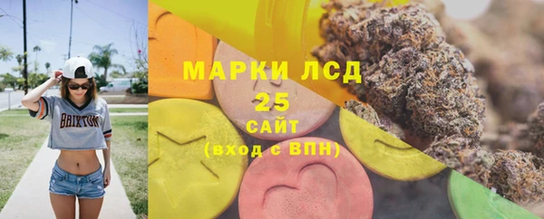 ГАЛЛЮЦИНОГЕННЫЕ ГРИБЫ Тайга