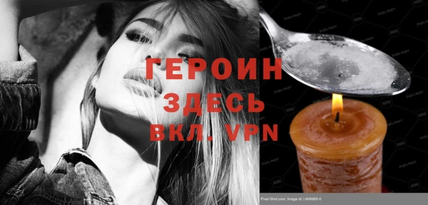 ГАЛЛЮЦИНОГЕННЫЕ ГРИБЫ Тайга