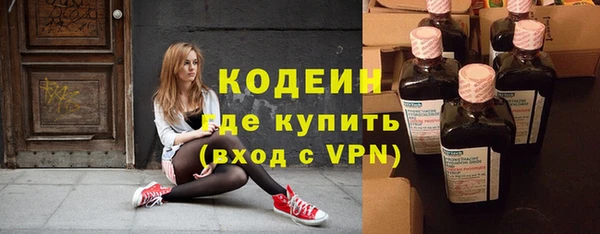 ГАЛЛЮЦИНОГЕННЫЕ ГРИБЫ Тайга