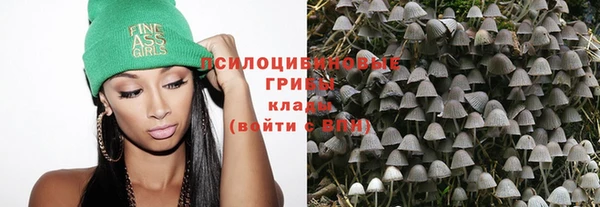 МДМА Сясьстрой
