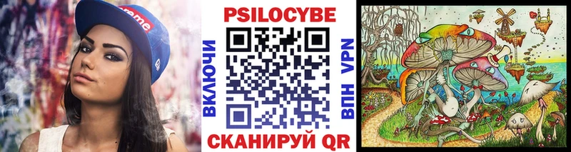 Купить где  Кизилюрт  Псилоцибиновые грибы мицелий 