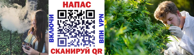 Конопля VHQ  Купить где  Кизилюрт 